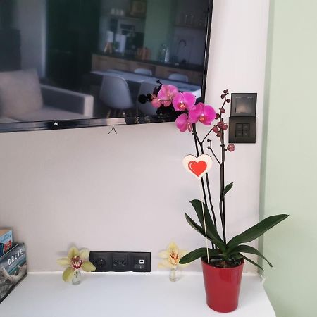 Dioni Lux Apartment Agios Nikolaos  Ngoại thất bức ảnh